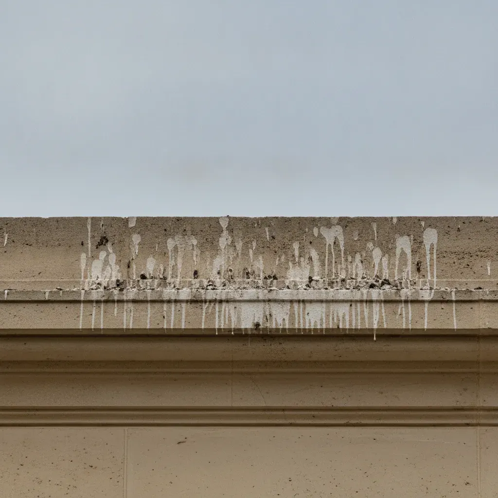 Corniche en pierre d’un immeuble ancien marquée par des coulures de fientes de pigeons